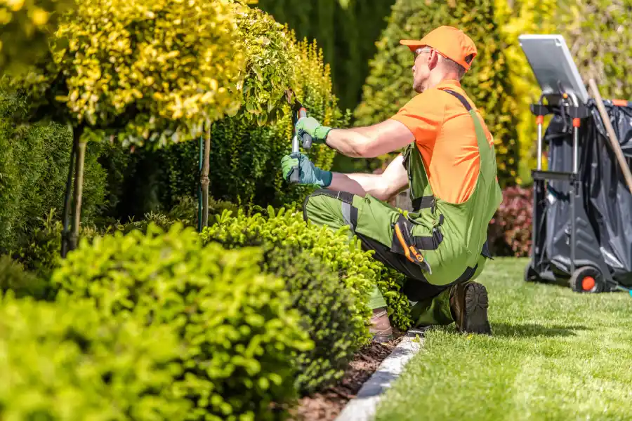 Expert Landscape Contractor in East Wenatchee WA Expert Landscape Contractor in East Wenatchee WA