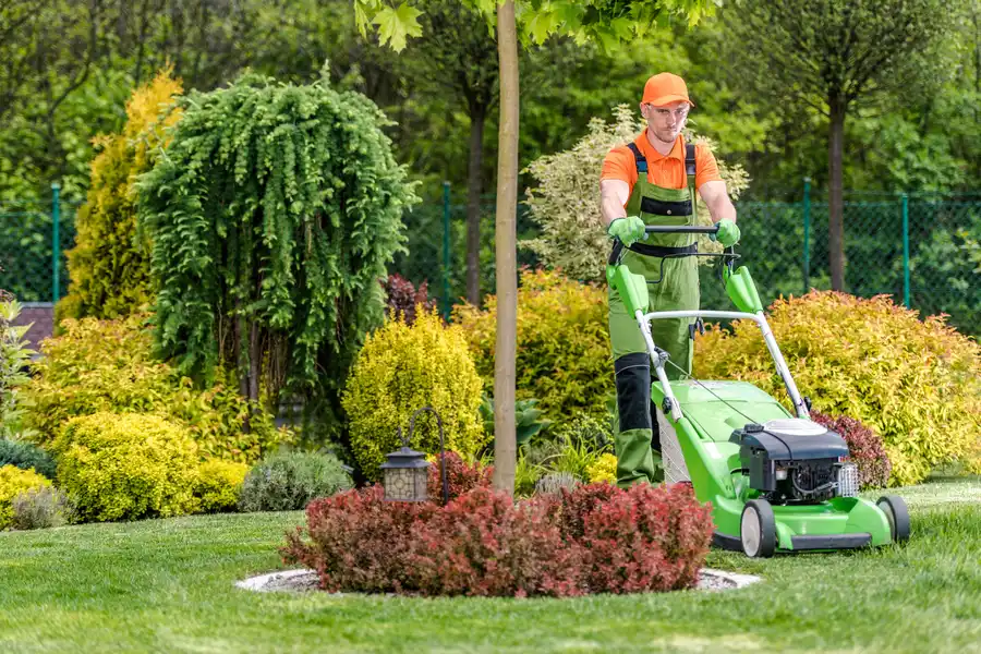 Quality Landscape Services