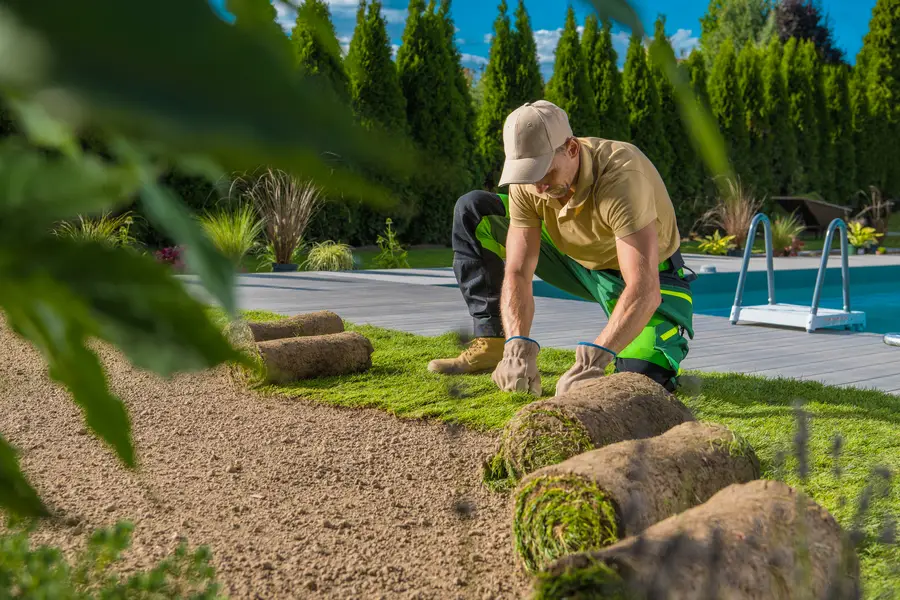 Sod Installation