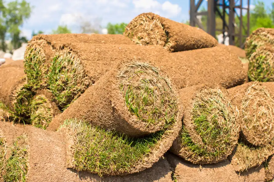 How Sod Installation Can Improve Your Propertys Value in East Wenatchee, WA How Sod Installation Can Improve Your Propertys Value in East Wenatchee, WA