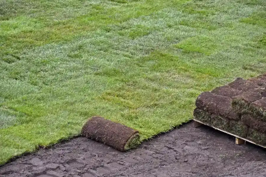 How To Choose The Right Sod For Your Landscape in East Wenatchee, WA How To Choose The Right Sod For Your Landscape in East Wenatchee, WA